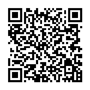 立刻引起了高度警觉的战士们的快速反应－－哗啦啦二维码生成