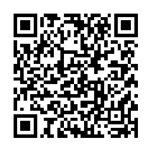 立刻感受到了一股弄弄的政治气息笼罩在了这块草地二维码生成