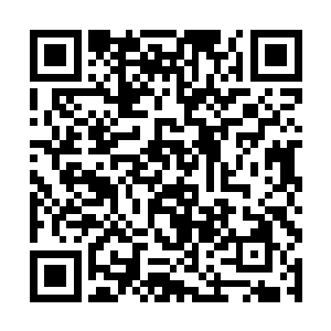 立即一个一个的点杀那些当初联手坑杀他的仇家……二维码生成