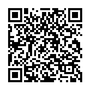 立即一个纵身就冲进了那个不算很大的洞窟之中了……自然二维码生成