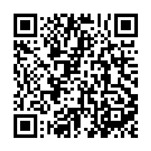 立即不顾危险飞到了这恍若一张床大小的圆球前方二维码生成