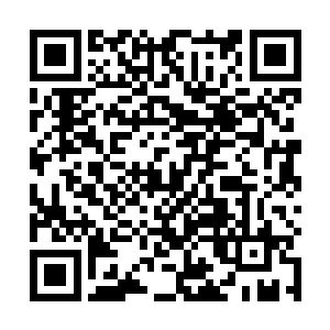 立即传音让铁小虎和苗小苗跟宁灵雨等人汇合到了一处二维码生成