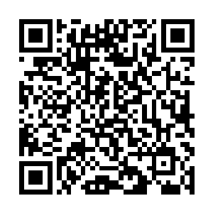 立即将池家建立在云竹山脉上的仙道大阵最核心之处二维码生成