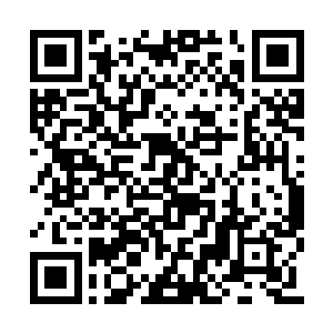 立即是如惊涛巨浪似得从禁地内疯狂的宣泄而出二维码生成