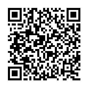 立即看出这是房睇长在故意试探嫁木杀招的底细二维码生成