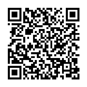 立即组织各族的妖族子弟朝无底洞方向狂奔而去二维码生成