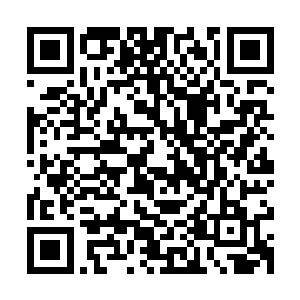 立即雀跃的跑了过去不顾流年和蓝灵在场便是扑在了天道的怀里二维码生成