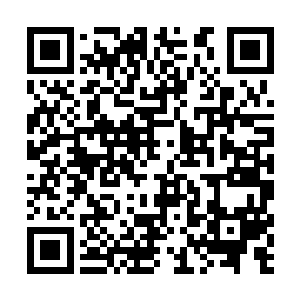 立马贴上一个标签――没钱没权没背jing的黄脸婆二维码生成