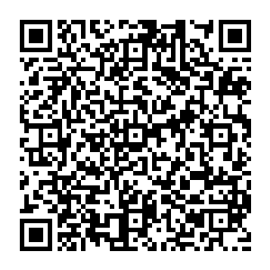 站到那堆围成一个圈的五个和自己一样高的洁白蛇蛋面前时流墨墨发现蛇蛋周围竟似乎形成一个小世界一般二维码生成