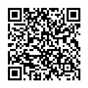站在一旁的九人立即扬手把自己掌心的种子丢飞出去二维码生成