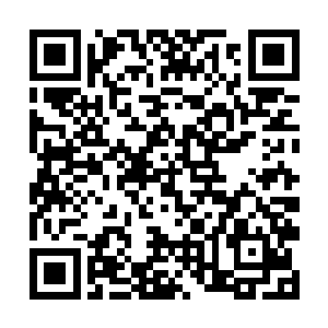 站在不远处观察情况的天雄家族少爷不禁皱了皱眉头二维码生成