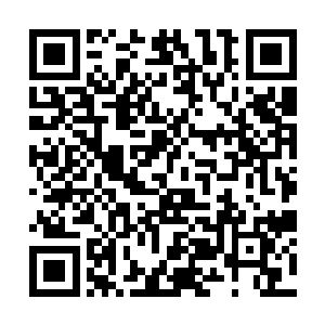 站在中军树下的陶青离能听到四面八方如潮的叫骂声二维码生成