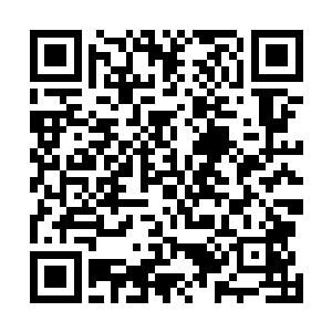 站在人群中高出了近一个头的葛大炮顿时还真来了些兴趣二维码生成