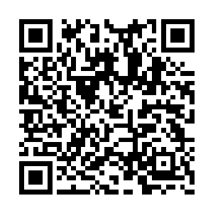 站在入口处方向的是一个穿着一袭合体的紧身裙二维码生成