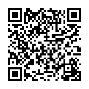 站在凌库洞外一干家主们顶着暖阳在焦急的等待着二维码生成