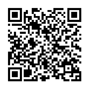 站在前面的那些保镖瞬间就被拇指粗的弹头撕成了碎片二维码生成