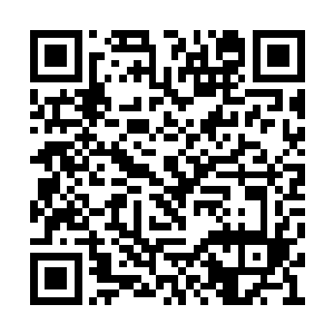 站在后方的骑兵们只看到他一枪将刺客扫落马下二维码生成