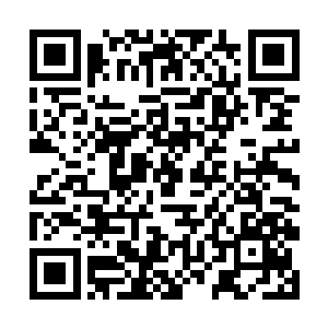 站在后面的叶海凝看到这一幕竟然不知道该作何反应二维码生成
