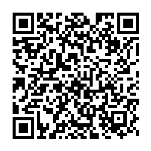 站在墨景黎身后的叶莹突然觉得即使披着暖和的孔雀毛织成的披风二维码生成