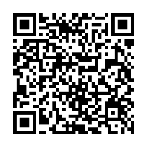 站在大祭师身后数百血族长老们见大祭师都没有反对二维码生成