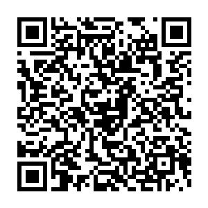 站在张铁后面的燕飞晴和白素仙两个人的脸上都出现了一种奇异的神情二维码生成
