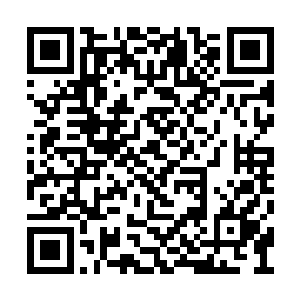 站在肯定的官员也是微微的皱了一下自己的眉头二维码生成