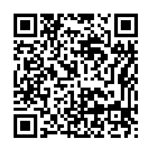 站在那里好好的收拾了一番自己方才朝着山上去了二维码生成