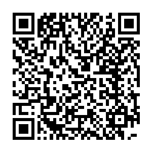 竟从着原本熟睡的姿态中快速醒来而后一口将眼前的天地灵气吞下二维码生成