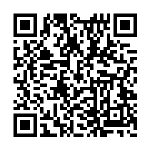 竟开始慢慢地将所有的血肉禁锢全部融化掉……二维码生成