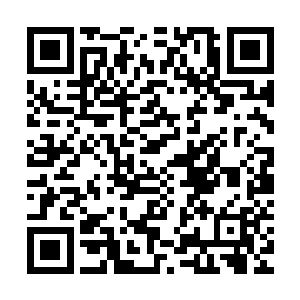 竟当场在这洞府内取出一滴精血滴入谢修制定的青蚌壳上的位置二维码生成