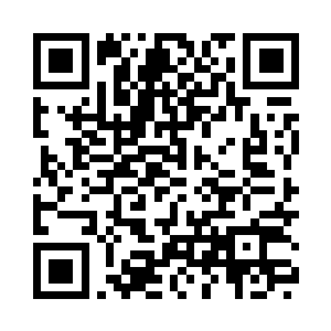 竟是一份关于团队假期旅行的公告二维码生成