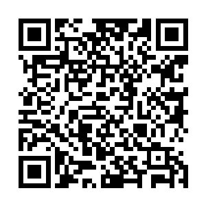 竟是一片桃红色的海洋……那海水的颜色与阳光的照射无关二维码生成