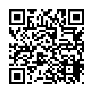 竟是仅花了一日就从之前他们落下的二维码生成