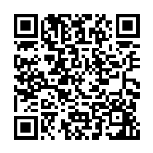 竟是如此棘手的一个领悟了道境剑域的剑道修士二维码生成