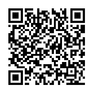 竟是完全由那种润泽青玉一般的青绮明玉铺成的~二维码生成