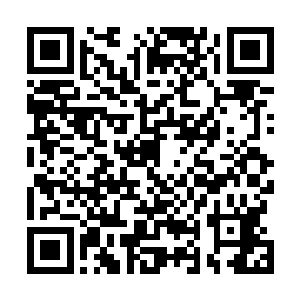 竟是将那元气护盾上面拉出来了一条手臂粗细的元气长线二维码生成
