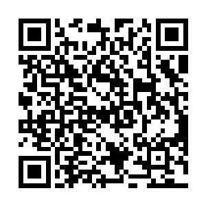 竟是硬生生将那紫罗天罡阵发出的所有电光都挡了下来二维码生成