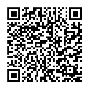 竟是诡异无比的生出了被一根分叉的红色滑腻舌头舔了一下的感觉二维码生成
