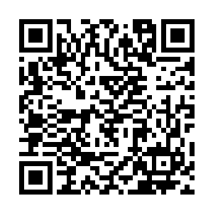 竟是都没反应过来就直接被满目血色全部震飞出去~二维码生成