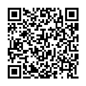 竟然不受他们控制地向着他们的体内疯狂地涌入二维码生成