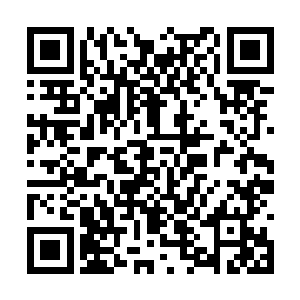 竟然丝毫没有从对方的身上感受到一丝一毫的气息二维码生成