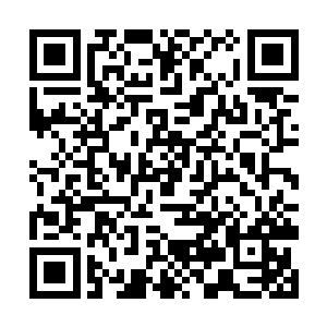 竟然也一边慢慢朝着不远处后羿所在的方向逼近过去二维码生成