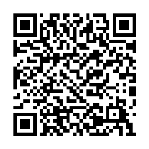 竟然从头上或者躯干上伸出一根根肉红色的触手二维码生成