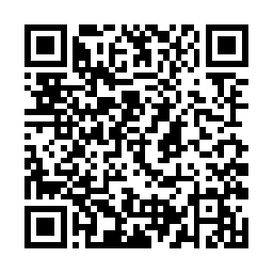 竟然会是这个自己平时根本就懒得看上一眼的赵二狗二维码生成