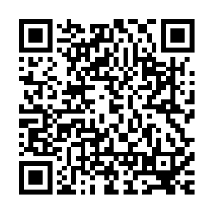 竟然会有这么一号连三流公子哥都算不上的人物跟他争锋相对二维码生成