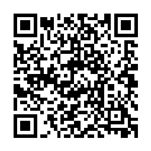 竟然使这里逐渐成了天狼国修仙界一处较出名的散修交易场所二维码生成