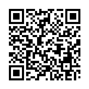 竟然化为一道足有五百余丈的惊天巨掌二维码生成