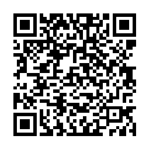 竟然发现自己的火之意阻挡不住那冰魄寒气的蔓延二维码生成