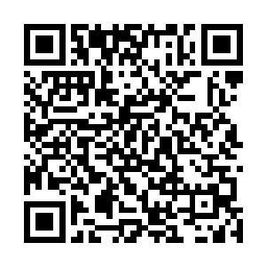 竟然可以见到如此惊人的效果尽管餐厅里的效果更佳惊人二维码生成