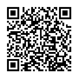 竟然吹嘘自己是专业的……这……这不就等于说自己是牛郎嘛二维码生成